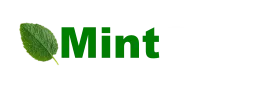 MintSolo
